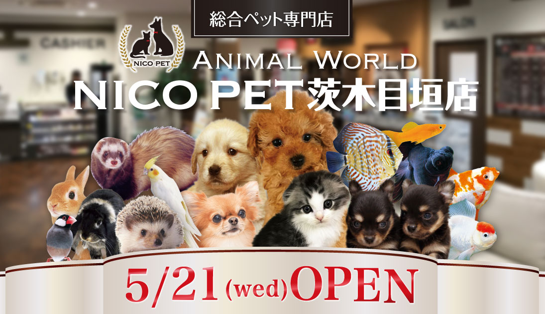総合ペット専門店 NICO PET茨木目垣店をオープン